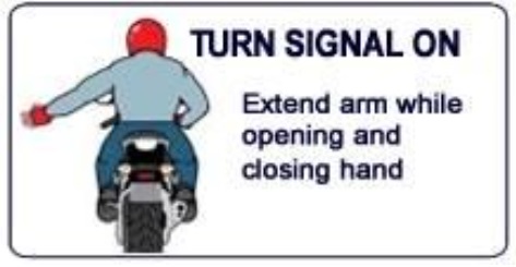 Turn Signal